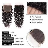 Brazilian Remy Hair Water Wave 4x4 Closure with 3 PCS Top Quality Bundles