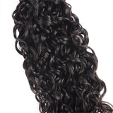 Brazilian Remy Hair Water Wave 4x4 Closure with 3 PCS Top Quality Bundles