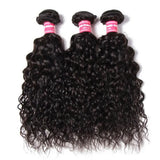 Brazilian Remy Hair Water Wave 4x4 Closure with 3 PCS Top Quality Bundles